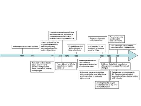 1978 Fibronectin shown to colocalize with fibrillar actin. Proposed a transmembrane relationship between microfilaments and FN First evidence of affinity.