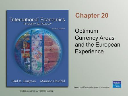 Optimum Currency Areas and the European Experience