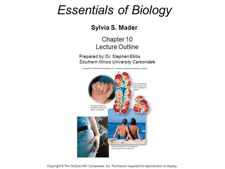 Essentials of Biology Sylvia S. Mader