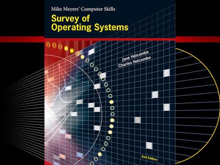 Disk Operating System (DOS)