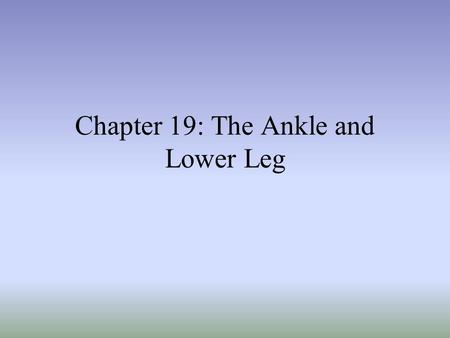 Chapter 19: The Ankle and Lower Leg