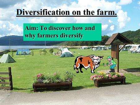 Diversification on the farm. Aim: To discover how and why farmers diversify.