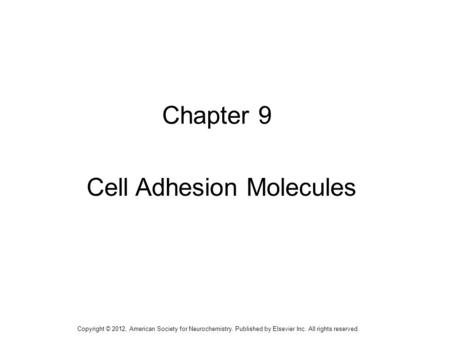 Cell Adhesion Molecules