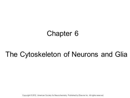 1 Chapter 6 The Cytoskeleton of Neurons and Glia Copyright © 2012, American Society for Neurochemistry. Published by Elsevier Inc. All rights reserved.