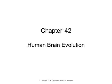 Chapter 42 Human Brain Evolution