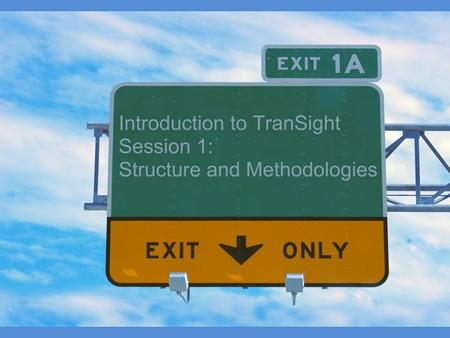 Overview Examples of TranSight Applications What Does TranSight Analyze? Model Structure.