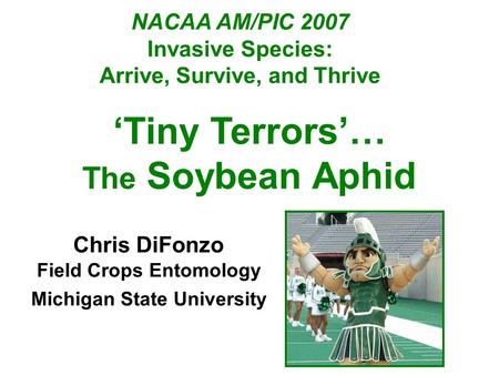 ‘Tiny Terrors’… The Soybean Aphid NACAA AM/PIC 2007 Invasive Species: