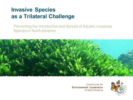 Invasive Species as a Trilateral Challenge Preventing the Introduction and Spread of Aquatic Invasives Species in North America Commission for Environmental.