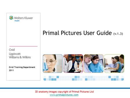 Ovid Training Department 2011 Primal Pictures User Guide (v.1.3) 3D anatomy images copyright of Primal Pictures Ltd www.primalpictures.com.