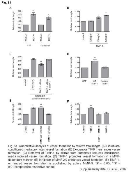 Fig. S1 HUVECs HDFNs HUVECs HDFNs Transwell CM Relative total length ** * control 200ng/ml400ng/ml TIMP-1 100ng/ml * ** GFP WT Mutant TIMP-1 TIMP-1 **