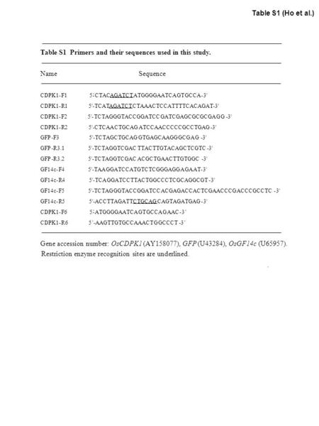 Table S1 (Ho et al.) Table S1 Primers and their sequences used in this study. Name Sequence CDPK1-F1 5-CTACAGATCTATGGGGAATCAGTGCCA-3' CDPK1-R15'-TCATAGATCTCTAAACTCCATTTTCACAGAT-3'