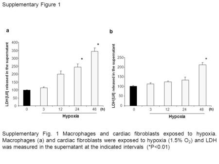 Supplementary Figure 1 0 50 100 150 200 250 LDH [U/l] released in the supernatant 03122448 Hypoxia (h) * b Supplementary Fig. 1 Macrophages and cardiac.