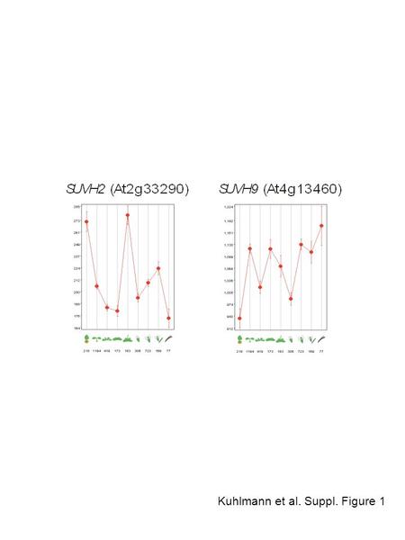 Kuhlmann et al. Suppl. Figure 1. Kuhlmann et al. Suppl. Figure 2 SRA-domainSET-domain Gabi-Kat_516A07 SALK_079574 At2g33290 SUVH2 SRA-domainSET-domain.