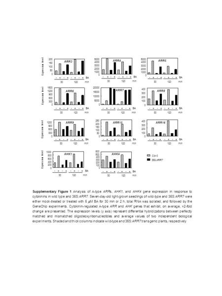 Expression level ARR3 - + - + - + - + BA 30 120 min 200 150 100 50 0 ARR4 5000 4000 3000 2000 1000 0 - + - + - + - + BA 30 120 min ARR5 5000 4000 3000.