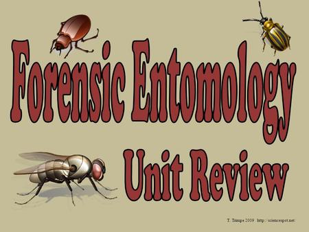 T. Trimpe 2009 http://sciencespot.net/ Forensic Entomology Unit Review T. Trimpe 2009 http://sciencespot.net/