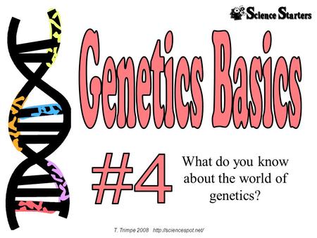 What do you know about the world of genetics? T. Trimpe 2008