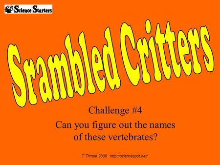 Challenge #4 Can you figure out the names of these vertebrates? T. Trimpe 2008