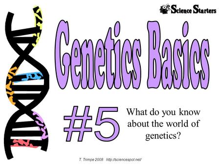 What do you know about the world of genetics? T. Trimpe 2008