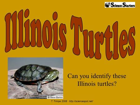 Can you identify these Illinois turtles? T. Trimpe 2008