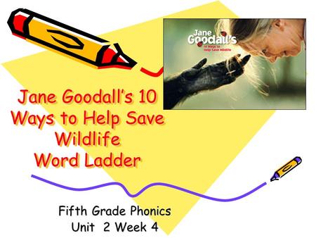 Jane Goodalls 10 Ways to Help Save Wildlife Word Ladder Fifth Grade Phonics Unit 2 Week 4.