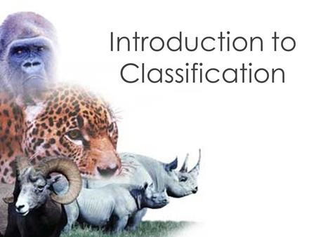 Introduction to Classification