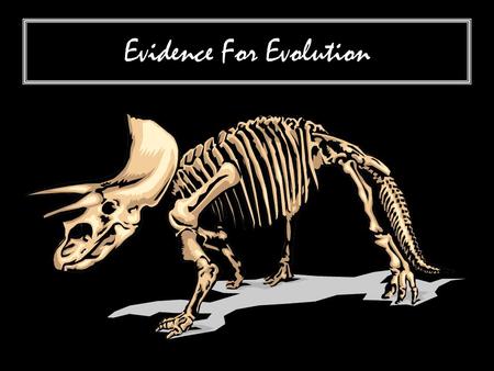 Evidence For Evolution