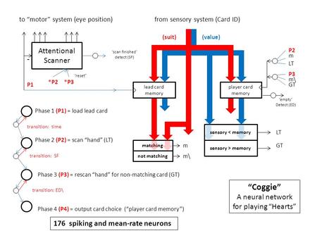 From sensory system (Card ID) Attentional Scanner to motor system (eye position) Phase 1 (P1) = load lead card - lead card memory player card memory matching.