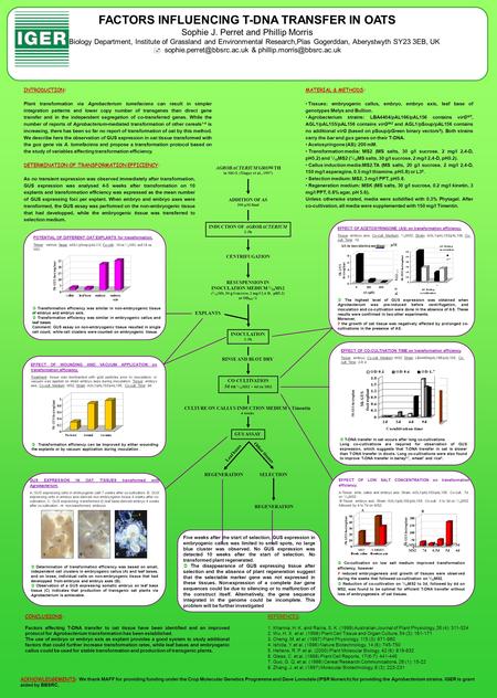 INDUCTION OF AGROBACTERIUM 2-3h ADDITION OF AS 200 M final AGROBACTERIUM GROWTH in MG/L (Tingay et al., 1997) CENTRIFUGATION RESUSPENSION IN INOCULATION.