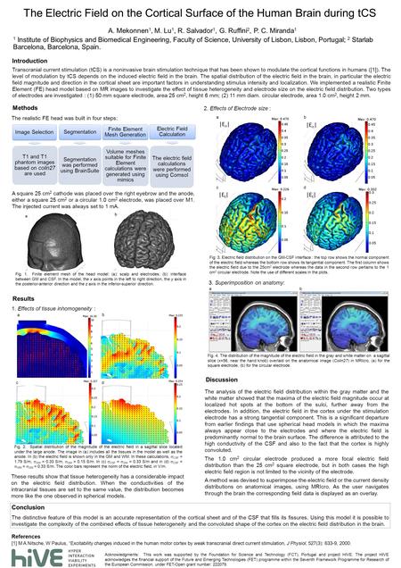 Image Selection T1 and T1 phantom images based on colin27 are used Segmentation Segmentation was performed using BrainSuite Finite Element Mesh Generation.