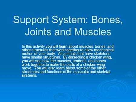 Support System: Bones, Joints and Muscles