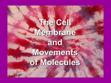 The Cell Membrane and Movements of Molecules