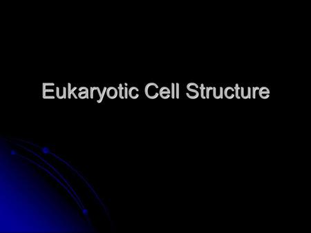 Eukaryotic Cell Structure