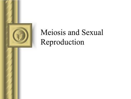 Meiosis and Sexual Reproduction