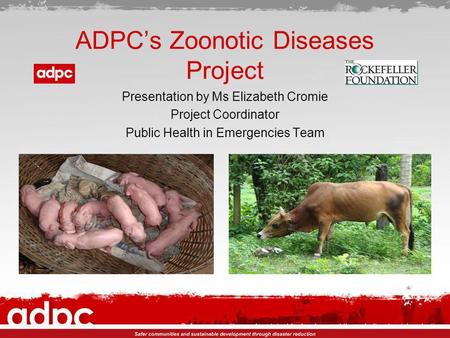 ADPCs Zoonotic Diseases Project Presentation by Ms Elizabeth Cromie Project Coordinator Public Health in Emergencies Team.