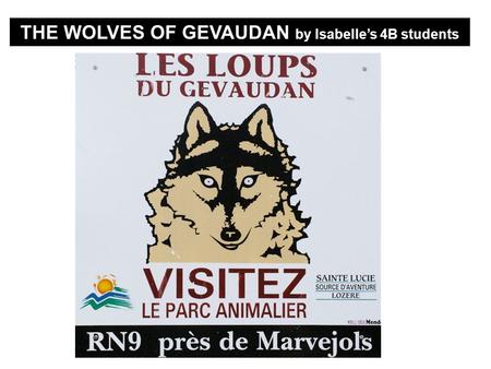 THE WOLVES OF GEVAUDAN by Isabelles 4B students. The Wolves of Sainte Lucies Park Langogne.