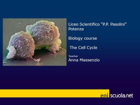 Liceo Scientifico P.P. Pasolini Potenza Biology course The Cell Cycle Teacher Anna Massenzio.