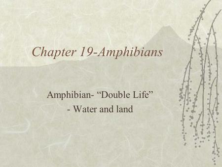 Amphibian- “Double Life” - Water and land