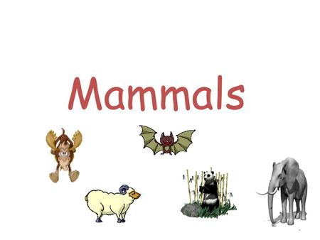 Mammals.