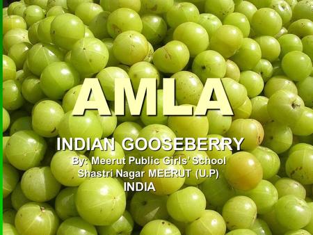 AMLA AMLA INDIAN GOOSEBERRY INDIAN GOOSEBERRY By: Meerut Public Girls School By: Meerut Public Girls School Shastri Nagar MEERUT (U.P) Shastri Nagar MEERUT.