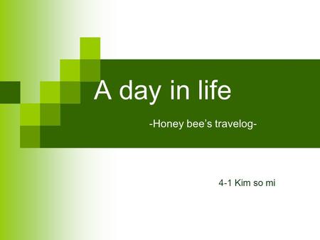 A day in life -Honey bees travelog- 4-1 Kim so mi.