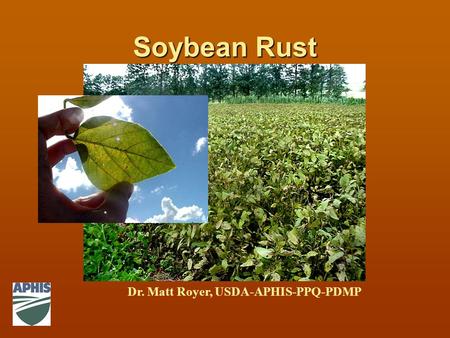 Soybean Rust Dr. Matt Royer, USDA-APHIS-PPQ-PDMP.