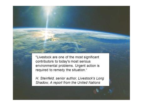 Livestock are one of the most significant contributors to today's most serious environmental problems. Urgent action is required to remedy the situation.