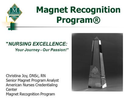 Magnet Recognition Program®