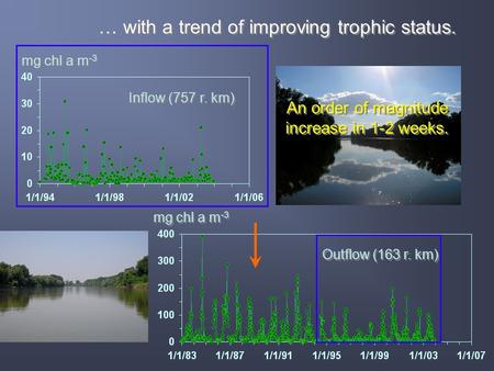 … with a trend of improving trophic status. Inflow (757 r. km) mg chl a m -3 Outflow (163 r. km) mg chl a m -3 An order of magnitude increase in 1-2 weeks.