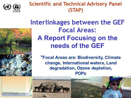 Interlinkages between the GEF Focal Areas: A Report Focusing on the needs of the GEF Scientific and Technical Advisory Panel (STAP) * Focal Areas are: