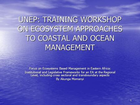 1 UNEP: TRAINING WORKSHOP ON ECOSYSTEM APPROACHES TO COASTAL AND OCEAN MANAGEMENT Focus on Ecosystems Based Management in Eastern Africa: Institutional.