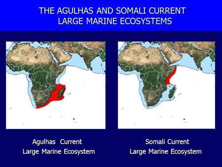 THE AGULHAS AND SOMALI CURRENT LARGE MARINE ECOSYSTEMS THE AGULHAS AND SOMALI CURRENT LARGE MARINE ECOSYSTEMS Agulhas Current Somali Current Large Marine.