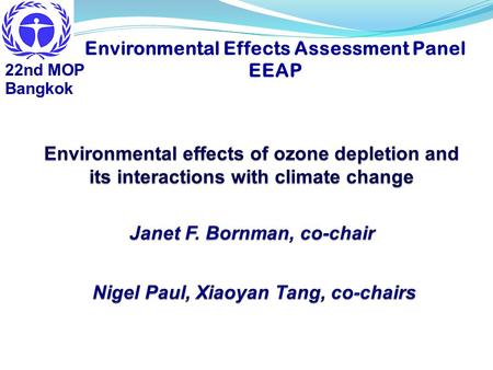 Environmental Effects Assessment Panel