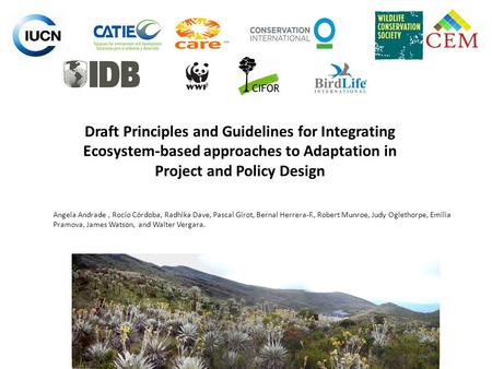 Draft Principles and Guidelines for Integrating Ecosystem-based approaches to Adaptation in Project and Policy Design Angela Andrade , Rocío Córdoba, Radhika.