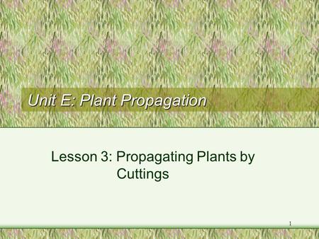 Unit E: Plant Propagation